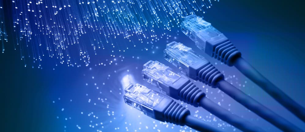 Fiber Fiber